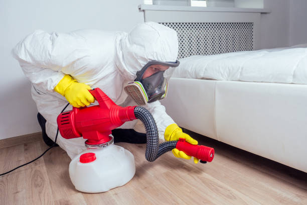 Professional Pest Control in Pittsfield, MA